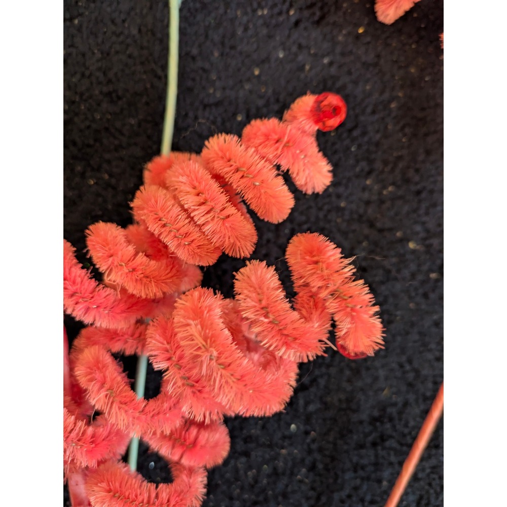 6 Vintage Chenille Spiral Floral Stems Pink Orange Green Beaded Christmas Crafts - Picture 5 of 12